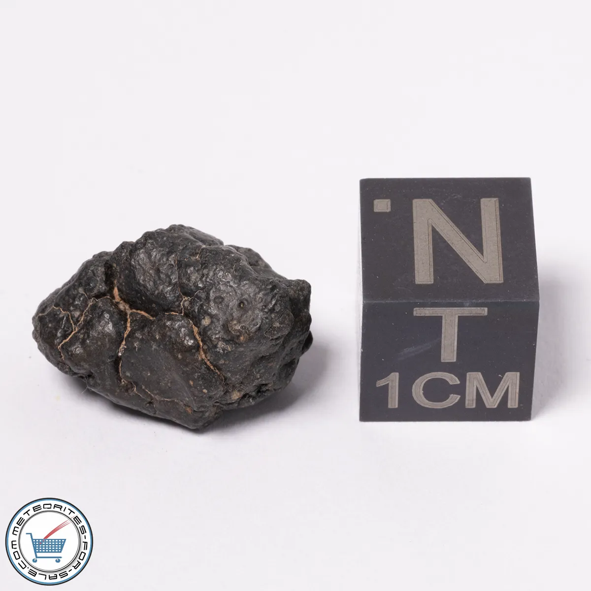 NWA 15523 CM2 Meteorite 2.08g