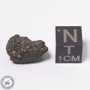 NWA 15523 CM2 Meteorite 1.83g