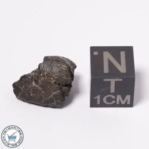 NWA 15523 CM2 Meteorite 1.73g