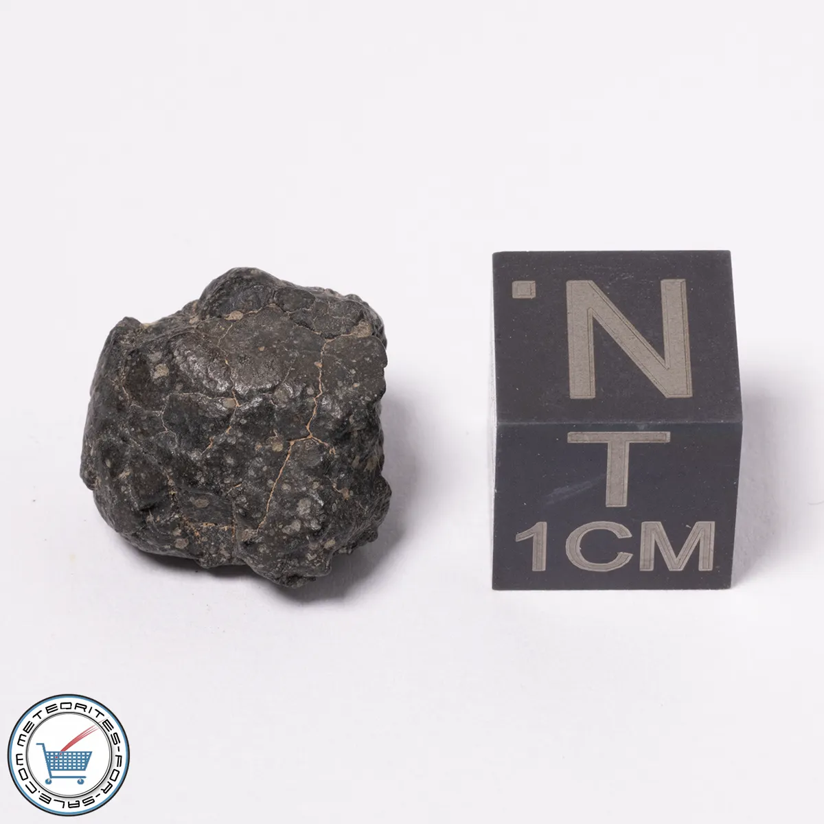 NWA 15523 CM2 Meteorite 2.07g