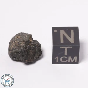 NWA 15523 CM2 Meteorite 1.60g