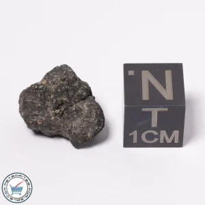 NWA 15523 CM2 Meteorite 1.91g