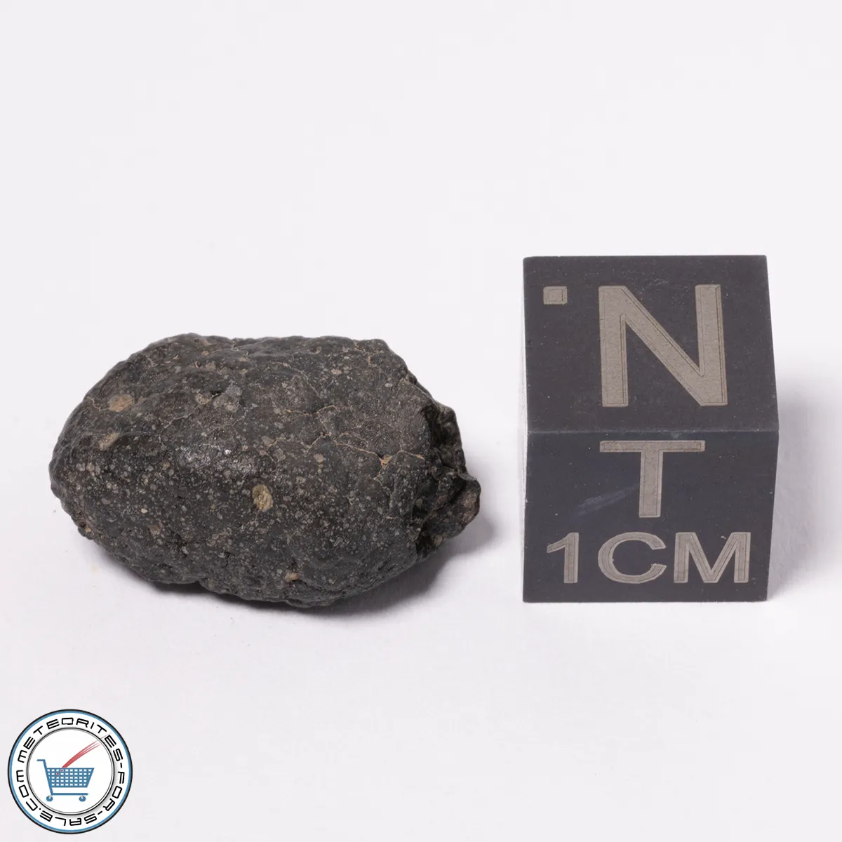 NWA 15523 CM2 Meteorite 2.18g
