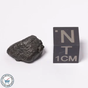 NWA 15523 CM2 Meteorite 1.40g