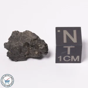 NWA 15523 CM2 Meteorite 1.87g