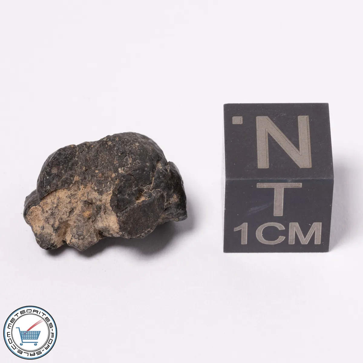 NWA 15523 CM2 Meteorite 2.01g