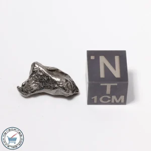 Gebel Kamil Iron Meteorite 2.5g Cleaned