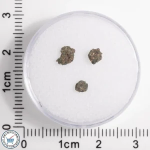 Hassi Messaoud 001 Martian Nakhlite 0.12g