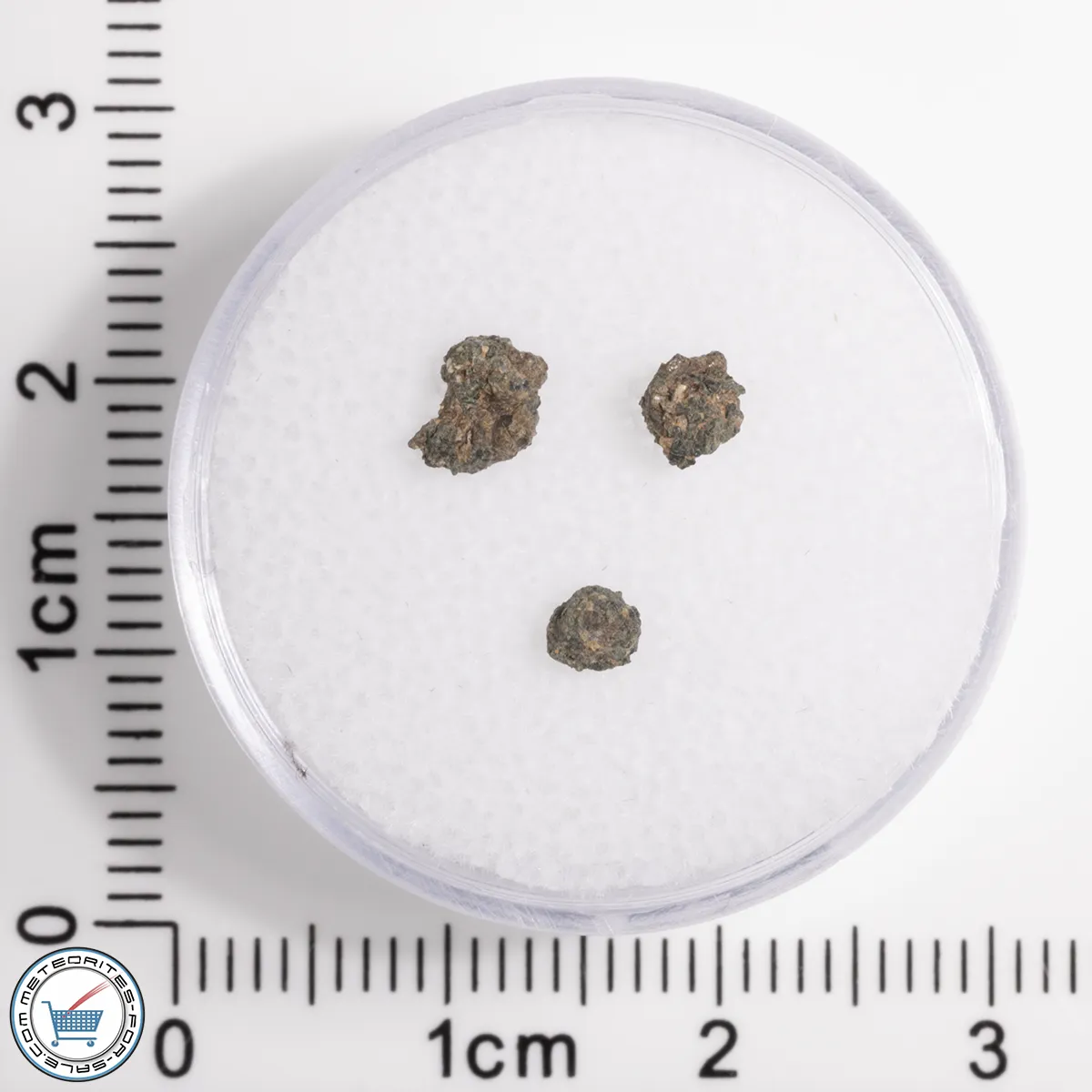 Hassi Messaoud 001 Martian Nakhlite 0.12g