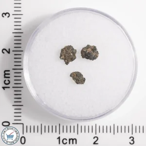 Hassi Messaoud 001 Martian Nakhlite 0.21g