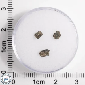 Hassi Messaoud 001 Martian Nakhlite 0.15g