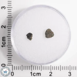 Hassi Messaoud 001 Martian Nakhlite 0.10g
