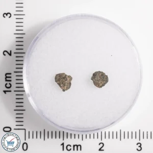 Hassi Messaoud 001 Martian Nakhlite 0.12g
