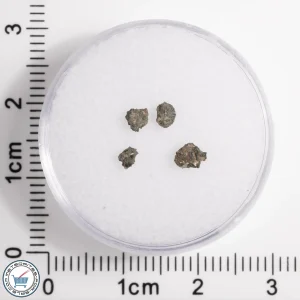 Hassi Messaoud 001 Martian Nakhlite 0.11g