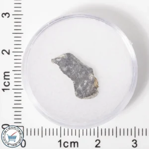 NWA 11182 Lunar Meteorite 0.34g