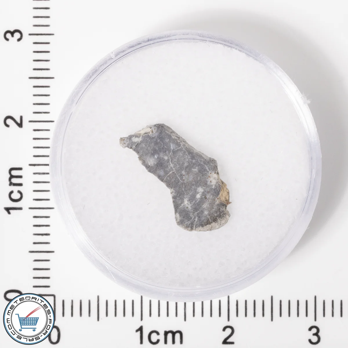 NWA 11182 Lunar Meteorite 0.34g
