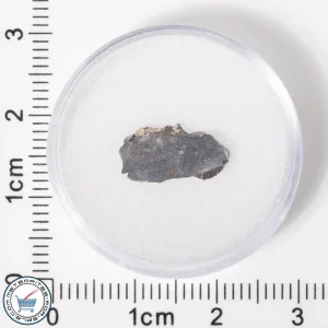 NWA 11182 Lunar Meteorite 0.27g
