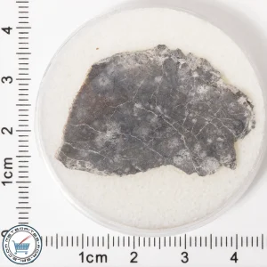 NWA 11182 Lunar Meteorite 2.80g