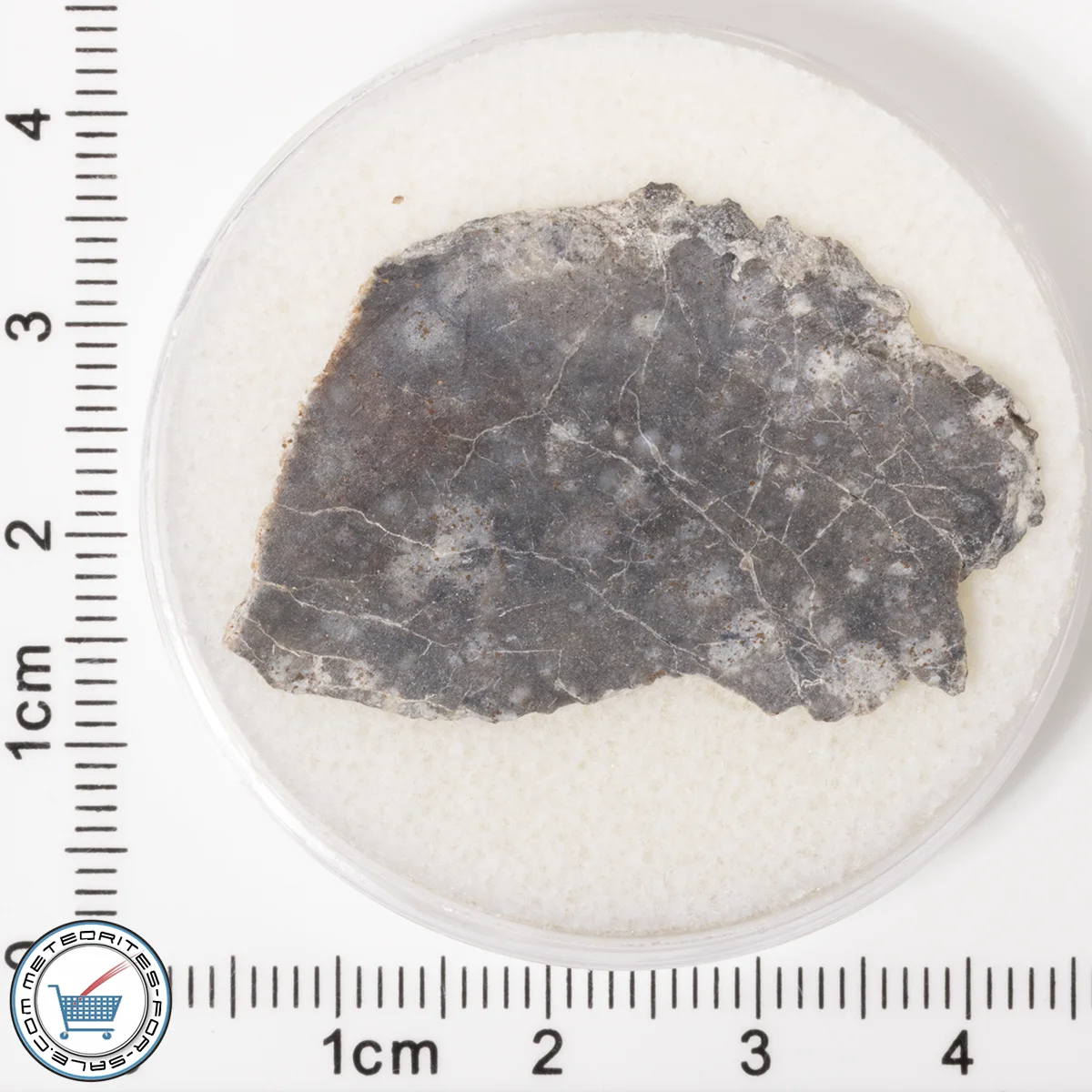 NWA 11182 Lunar Meteorite 2.80g