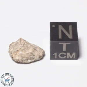NWA 13974 Lunar Meteorite 0.71g