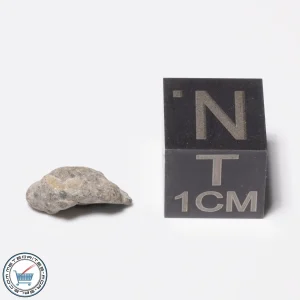 NWA 13974 Lunar Meteorite 0.28g