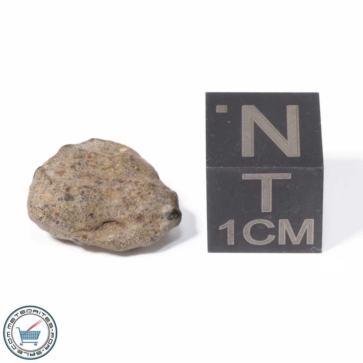 NWA 13974 Lunar Meteorite 1.03g