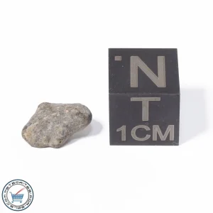 NWA 13974 Lunar Meteorite 0.32g