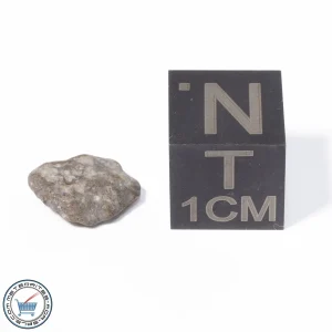 NWA 13974 Lunar Meteorite 0.29g