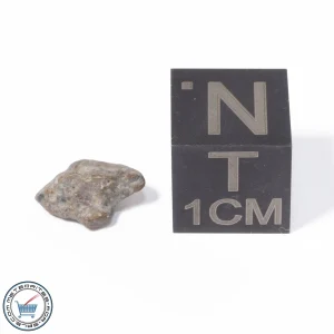 NWA 13974 Lunar Meteorite 0.21g