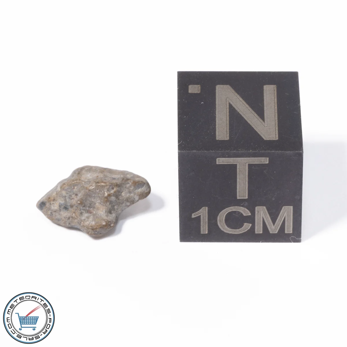 NWA 13974 Lunar Meteorite 0.21g