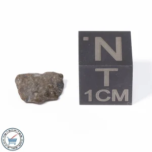 NWA 13974 Lunar Meteorite 0.27g
