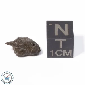 NWA 13974 Lunar Meteorite 0.69g