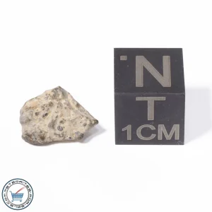 NWA 13974 Lunar Meteorite 0.56g
