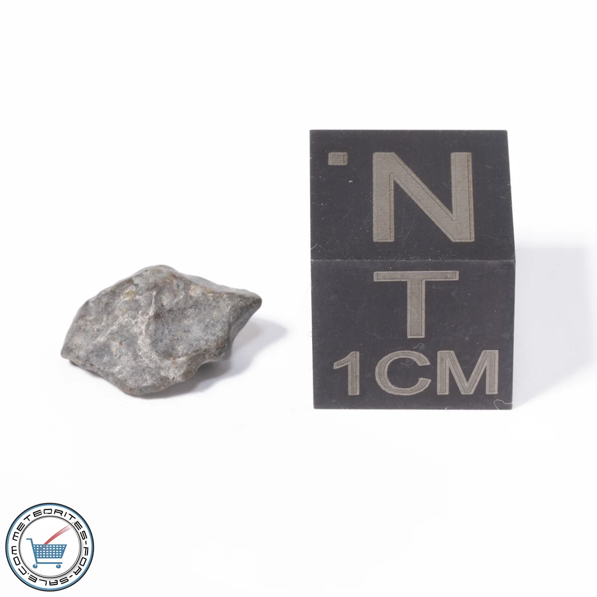 NWA 13974 Lunar Meteorite 0.30g
