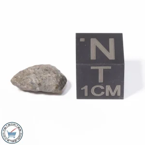 NWA 13974 Lunar Meteorite 0.51g