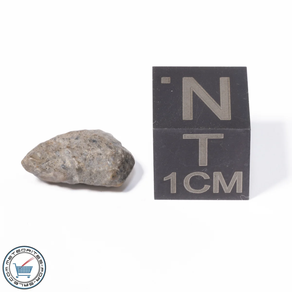 NWA 13974 Lunar Meteorite 0.51g