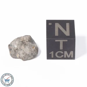 NWA 13974 Lunar Meteorite 0.53g
