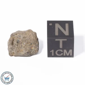 NWA 13974 Lunar Meteorite 0.90g