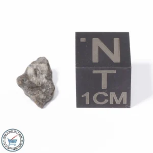 NWA 13974 Lunar Meteorite 0.27g