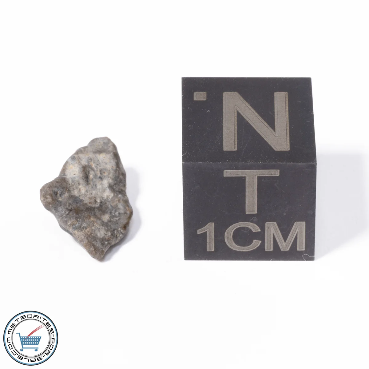 NWA 13974 Lunar Meteorite 0.27g