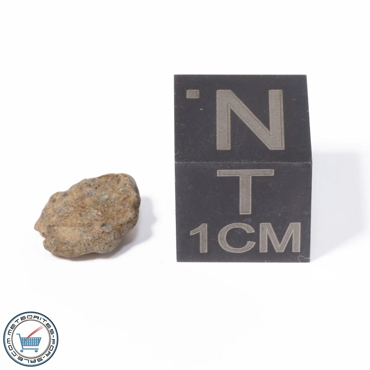NWA 13974 Lunar Meteorite 0.24g