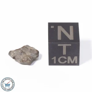 NWA 13974 Lunar Meteorite 0.31g