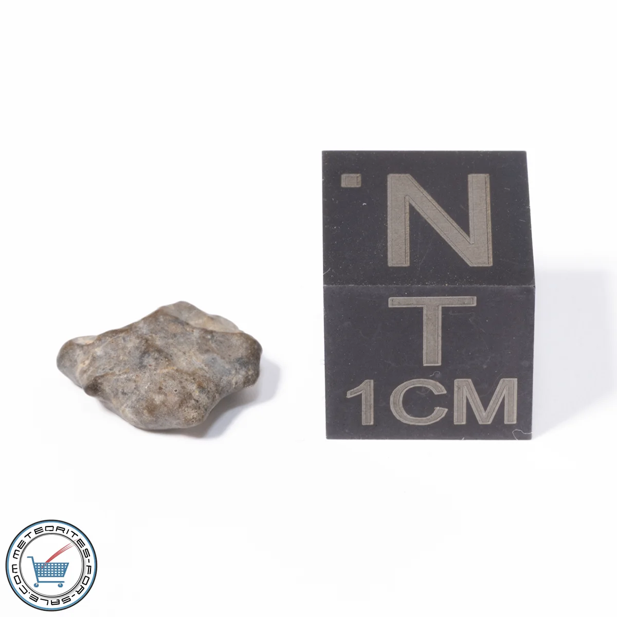 NWA 13974 Lunar Meteorite 0.31g