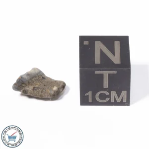 NWA 13974 Lunar Meteorite 0.28g