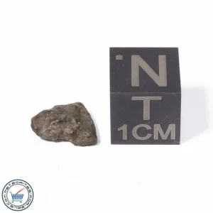 NWA 13974 Lunar Meteorite 0.26g