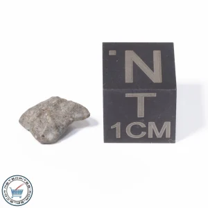 NWA 13974 Lunar Meteorite 0.26g