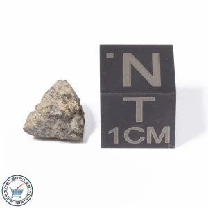 NWA 13974 Lunar Meteorite 0.53g