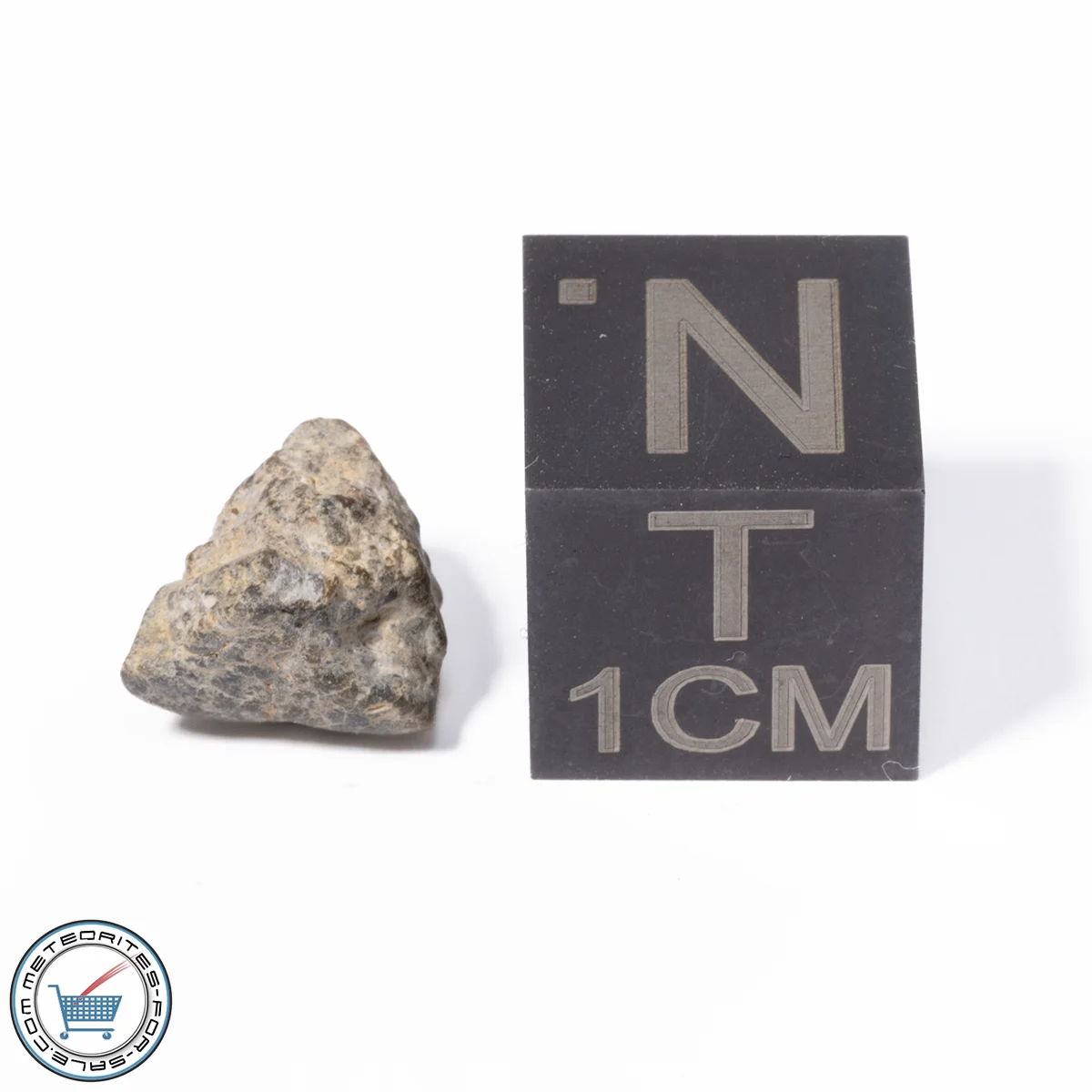 NWA 13974 Lunar Meteorite 0.53g