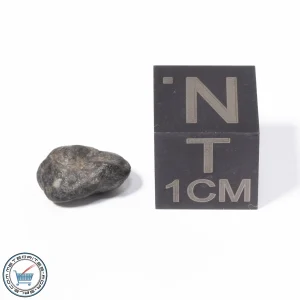 NWA 13974 Lunar Meteorite 0.33g