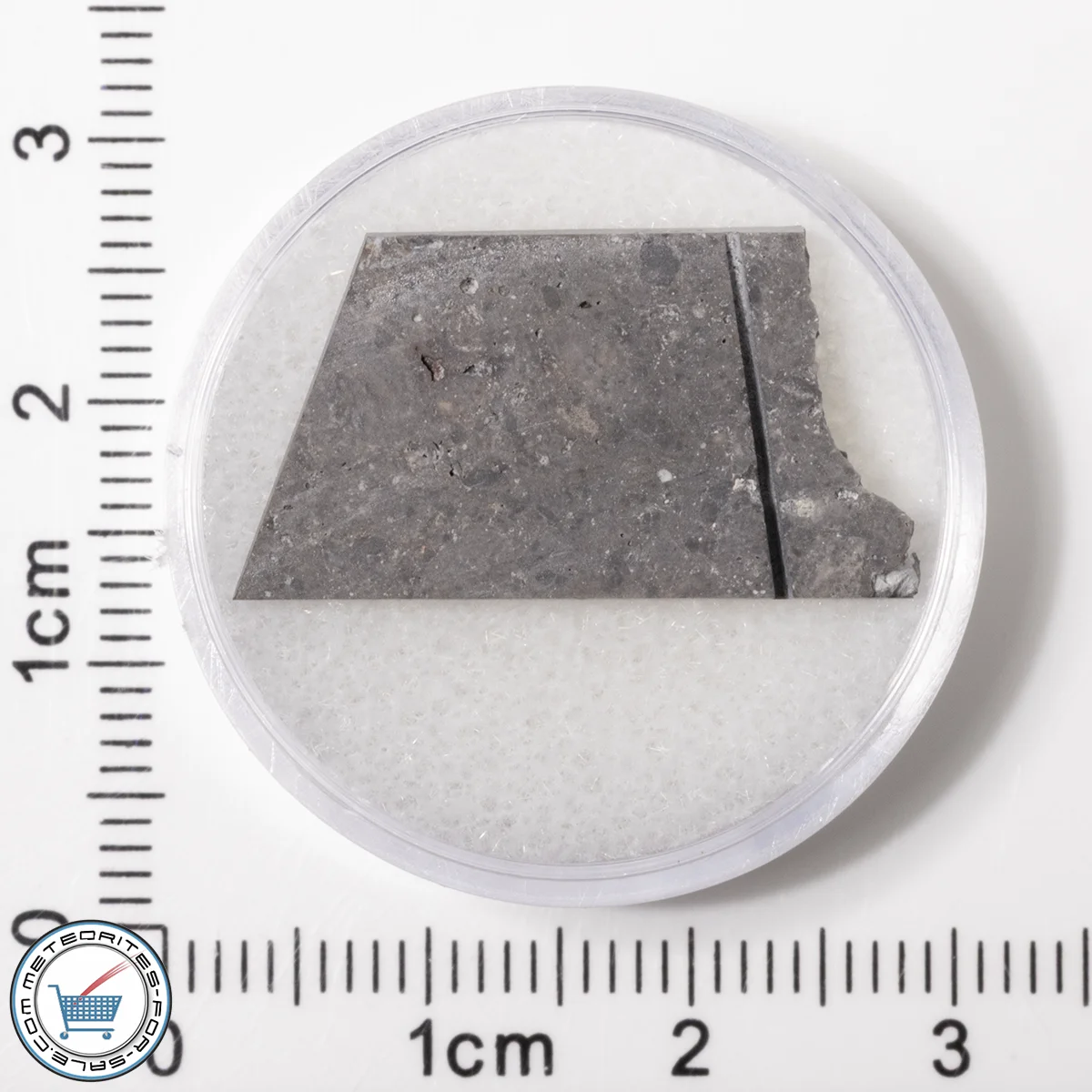 NWA 16315 Meteorite 1.67g